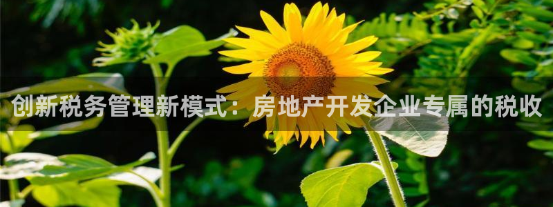 万向娱乐平台代理怎么做
