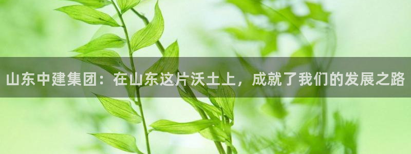 万向娱乐app下载安装